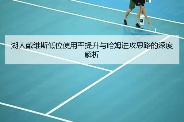 湖人戴维斯低位使用率提升与哈姆进攻思路的深度解析