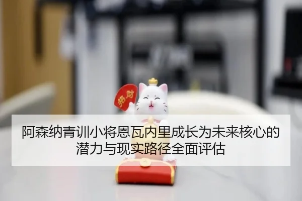 阿森纳青训小将恩瓦内里成长为未来核心的潜力与现实路径全面评估
